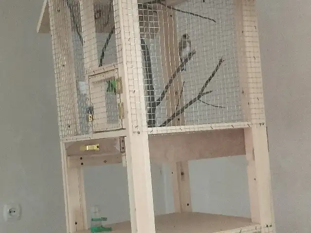 Клетка барои парранда, Истаравшан