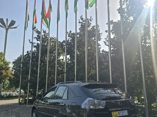 Lexus RX series, 2008, Душанбе - 6