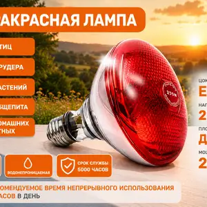 Инфракрасная лампа для инкубатора, Душанбе