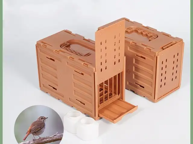 Клетка для маленьких птиц, Душанбе