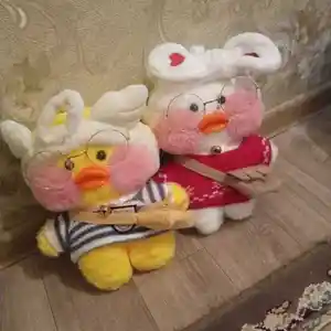 Утки Лалафон, Душанбе