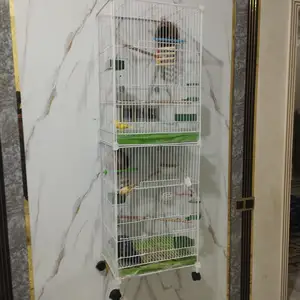 Двухэтажная клетка, Душанбе