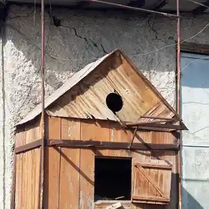 Скворечник для голубей, Худжанд