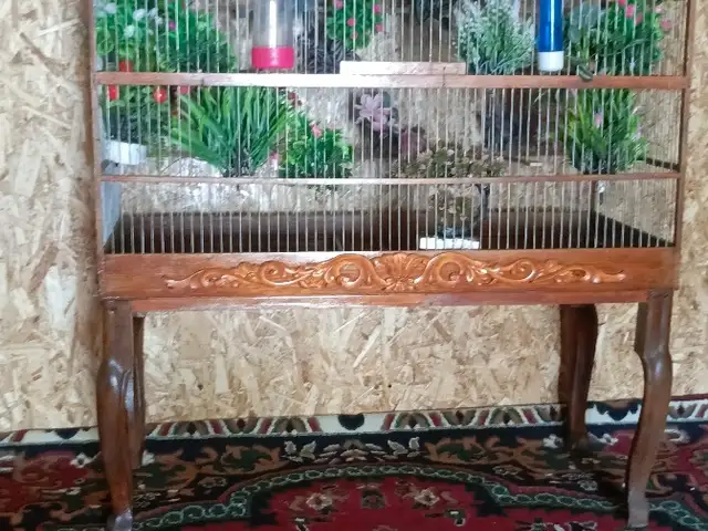 Кафас, Душанбе