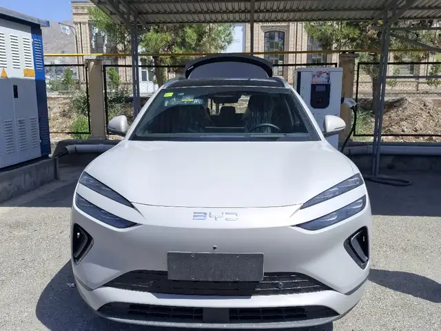 BYD Sea Lion 06