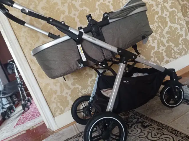 Коляска, Душанбе