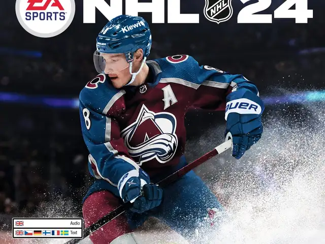 Игра NHL 24 для Sony PS4, Душанбе