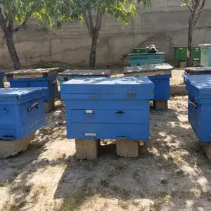 Ящики занбур, Душанбе