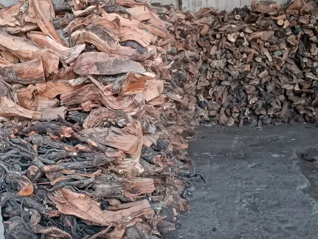Дрова, Хуҷанд