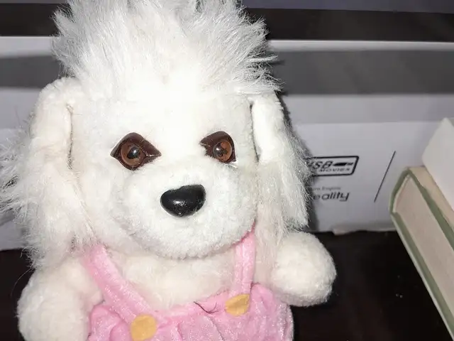 Игрушка мягкая, Душанбе