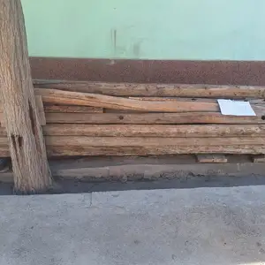 Чуб, Худжанд