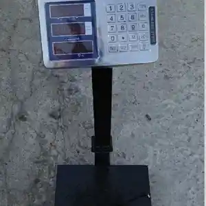 Весы, Душанбе