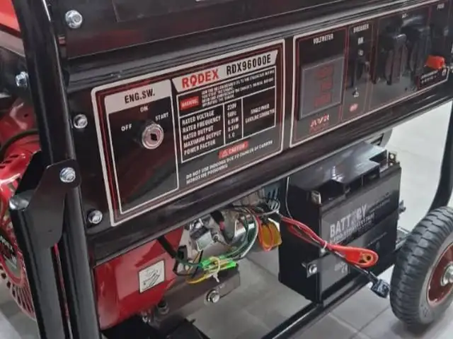 Генератор Rodex, Душанбе