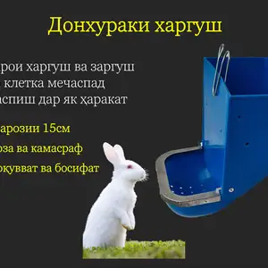Кормушка/Донхураки харгуш, Душанбе