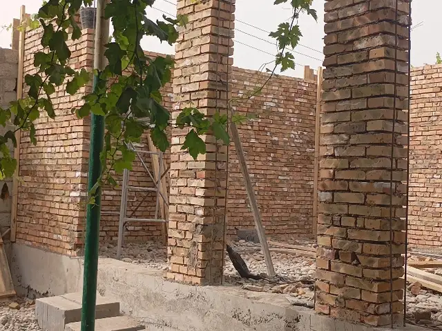 Хизматрасонии устои хона, Душанбе