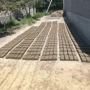 Хишти хом, Худжанд