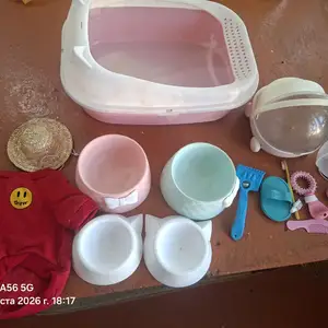 Комплект барои гурба, Душанбе
