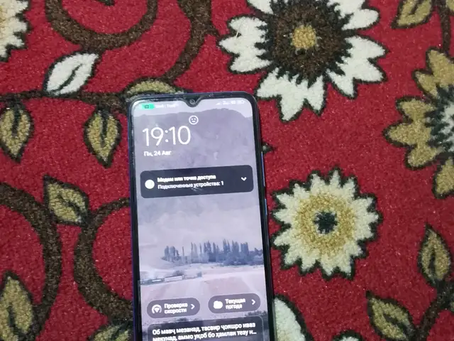 Xiaomi Redmi 10 s, Исфара