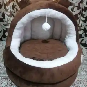 Домик для котёнка, Душанбе