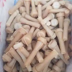 Резинки патканаки бедона, Худжанд