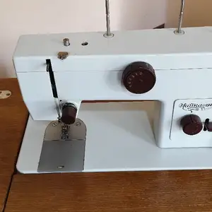 Мошиная дузандаги чайка, Исфара