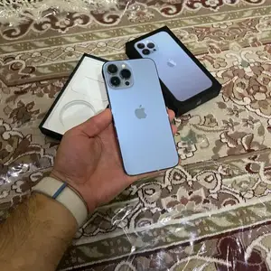 Apple iPhone 13 Pro Max, 256 gb, Silver, Ховалинг