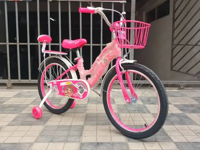 Велосипед r 20, Душанбе