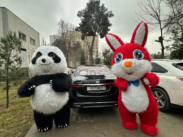 Услуги аниматора, Душанбе