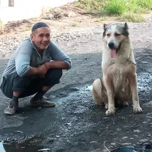 Саг, Турсунзаде