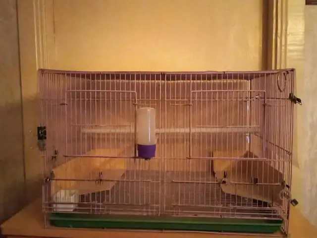 Клетка, Душанбе