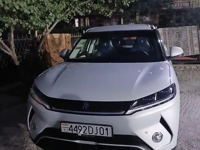 BYD Yuan Up