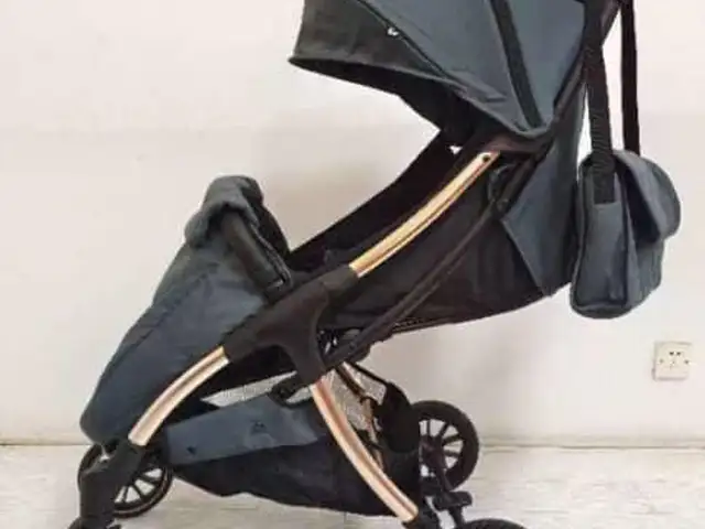 Коляска, Душанбе