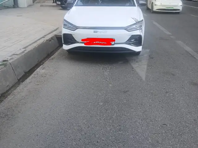 BYD E2