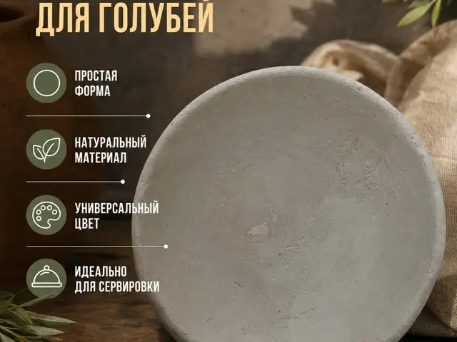 Гнездо, Худжанд