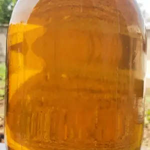 Равгани загир, Рӯдакӣ