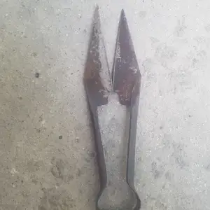Ручные ножницы для стрижки овец, Душанбе