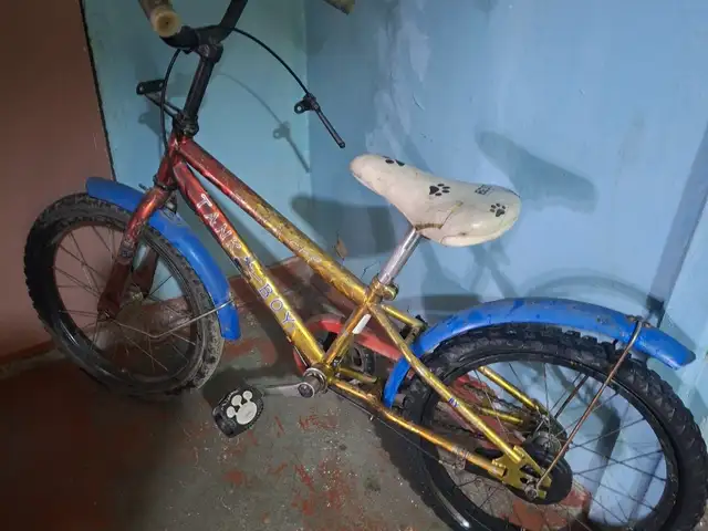 Велосипед, Душанбе