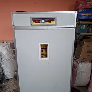 Инкубатори калон, Бустон (Чкаловск)