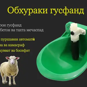 Поилка/Обхураки гусфанд, Душанбе