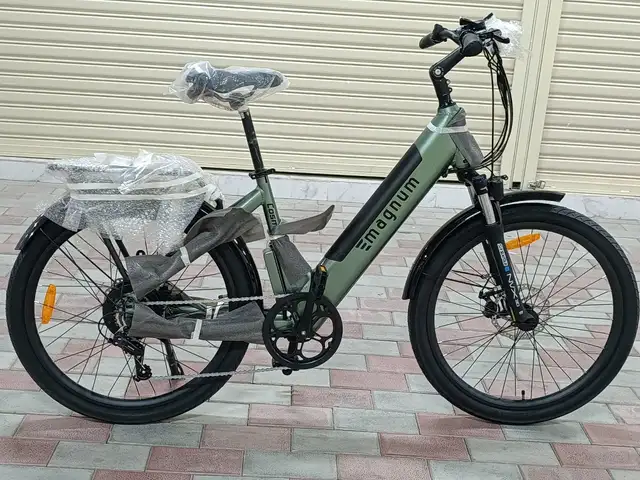 Электронный велосипед, Душанбе