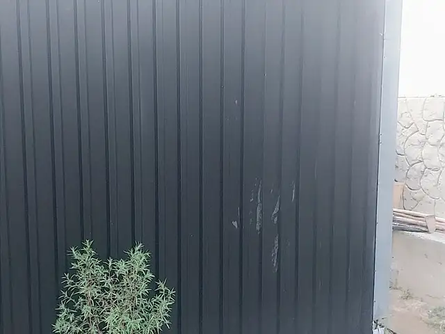 Тез-тайёр, Душанбе - 4