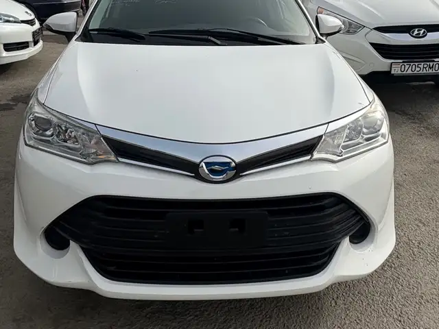 Toyota Fielder