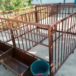 Клетка, Джаббор Расулов