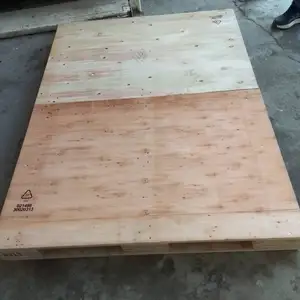 Поддон, Худжанд