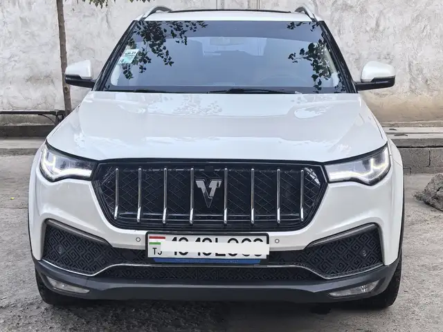 Zotye T700