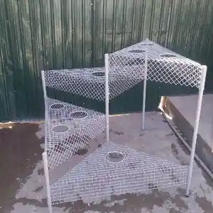 Цветочница, Душанбе