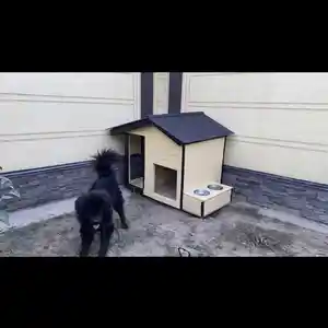 Будка, Душанбе