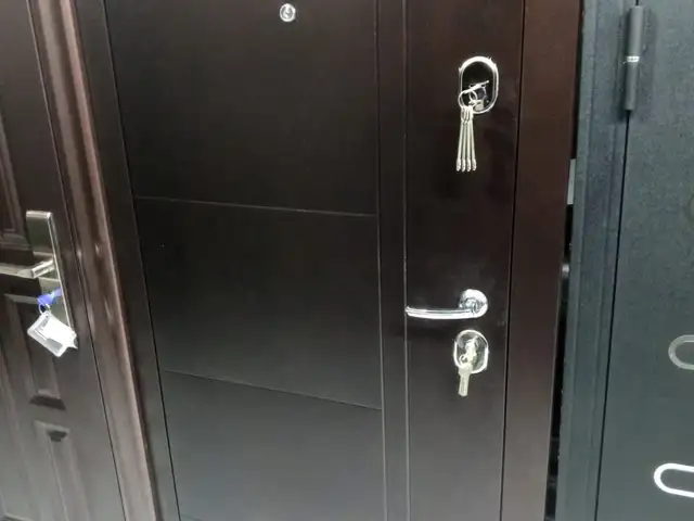 Входная дверь, Душанбе