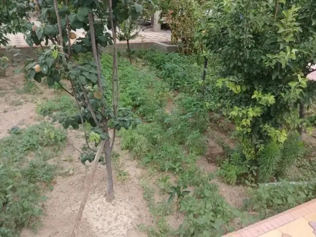 Услуги по чистке огорода, Душанбе