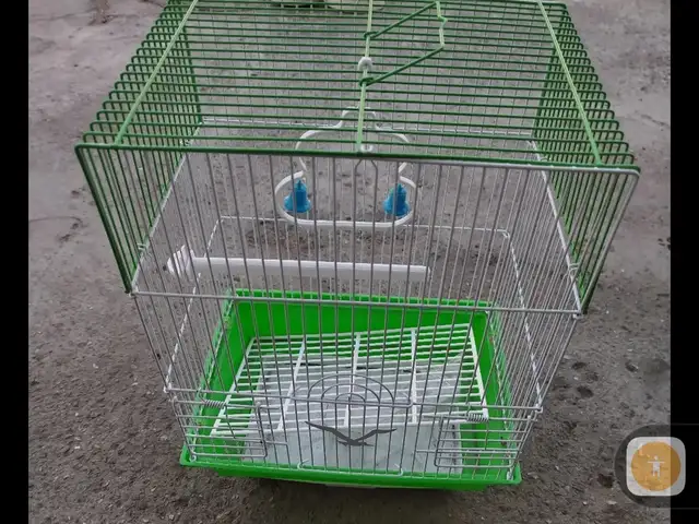 Клетка, Душанбе